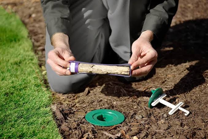 Termite Prevention and Home Maintenance Tips