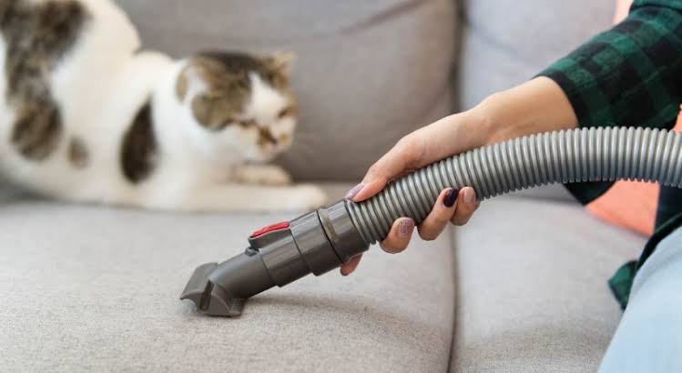 Pet Hair Cleaning Hacks for a Fur-Free Home