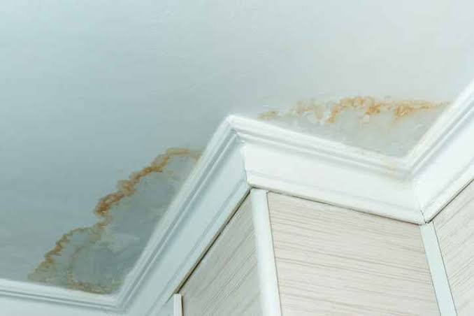 Signs of a Hidden Water Leak in Your Home